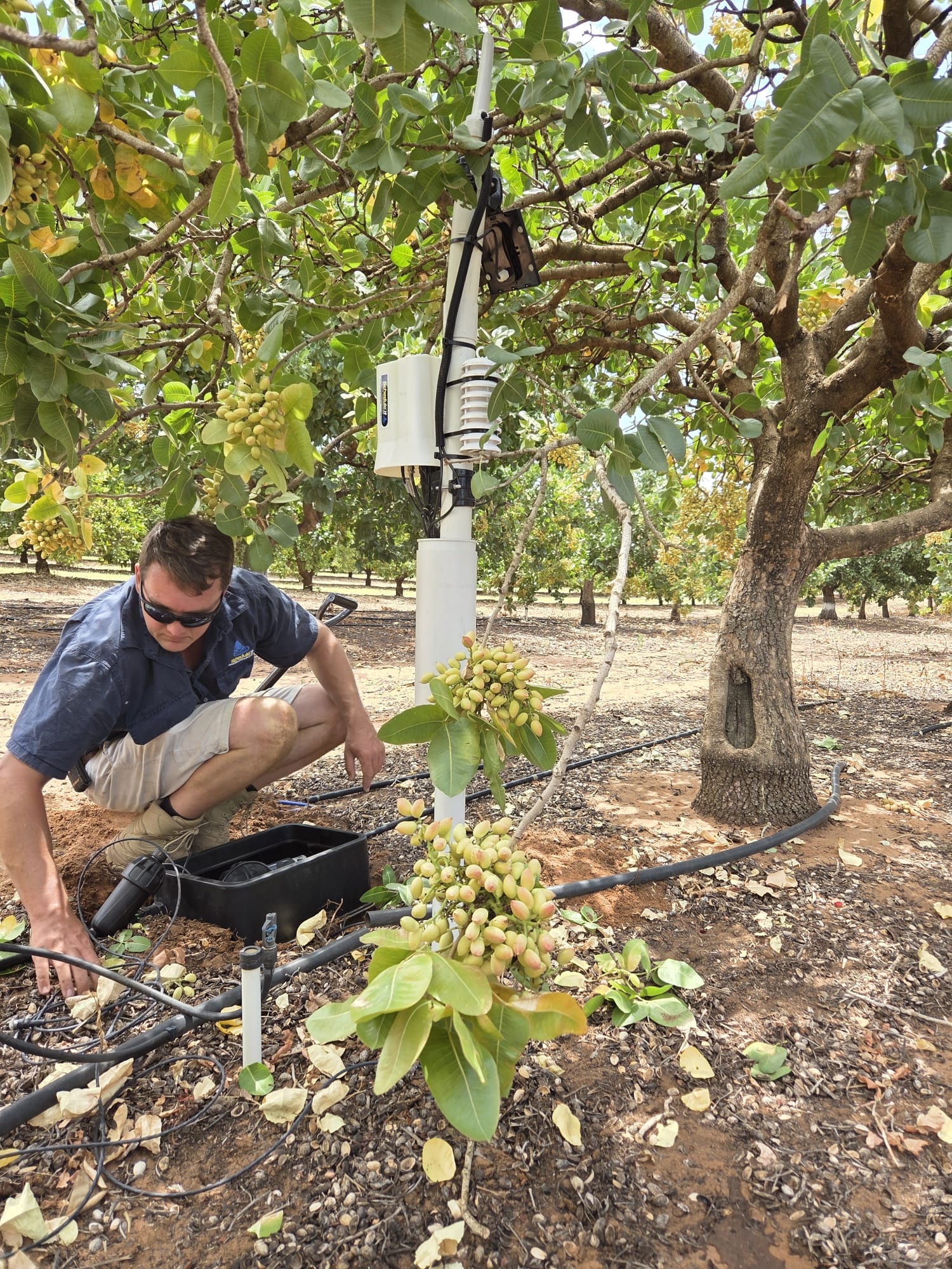 Horticulture Solution